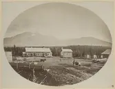 SJs banbyggnad av Linjen Torpshammar- Riksgränsen. (Storlien) Foto är taget i Enaforsholm, år 1875.