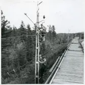 Elektrifiering vid Kusfors - Bastuträsk på sträckan Vännäs - Boden.