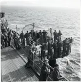 Krigsfångeutväxling i Trelleborg.