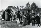 Finska flyktingar i Haparanda, hösten 1944.