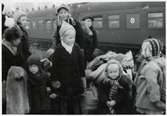 Finska flyktingar i Haparanda, hösten 1944.