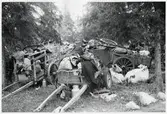Kärror lastade med finska flyktingars tillhörigheter, Haparanda, hösten 1944.