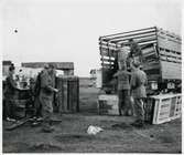 Bild tagen i samband med evakueringen av finska flyktingar i Kuttainen, hösten 1944. Lastning, lossning.