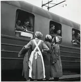 Allierade krigsfångar i samspråk med svenska lottor i Trelleborg.