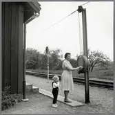 Bomfällning på Liarums hållplats.