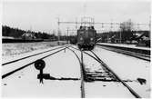 Bangård, växel med fjädrande dragstång. Ellok, Statens Järnvägar, SJ D 335. Loket tillverkades 1935 av ASEA, 1956 fick ny littera SJ Ds 335, skrotat 1979 i Vislanda.