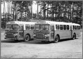 Trafikaktiebolaget Grängesberg - Oxelösunds Järnväg, TGOJ. Scania-Vabis bussar.