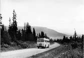 Statens Järnvägar, SJ buss 1393 på vägen mellan Funäsdalen och Tänndalen.