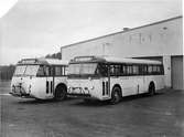 Stockholms Läns Omnibuss AB, SLO buss 125 (registrerin gsnummer B654) och SLO buss 114 (registreringsnummer B651).