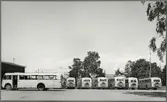 Statens Järnvägar, SJ bussar parkerade vid garage.