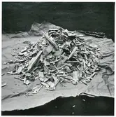 Vedflis för gengasdrift. Tändsticksask som storleksjämförelse.