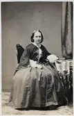 Fru Eva Matilda Charlotta Torell född Rosentwist, gift med Löjtnant Johan Peter Torell från 1867.