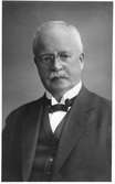 Förste trafikinspektör Albert E. T. Wannholm.