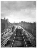 Vårsyn på bron över Tväringsån på linjen mellan Ramsjö och Mellansjö. Bandirektör Groth, trafikinspektör Johansson, maskindirektör Sundberg med flera.