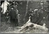 Konung Alfons XIII av spanien och Konung Gustaf V med jaktsällskapet under älgakten.