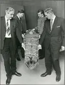 Första hjälpen utbildning.