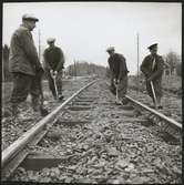 Arbetare vid järnvägsspåret mellan Storå och Stråssa som upprustas 1958.