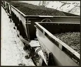 Trafikaktiebolaget Grängesberg - Oxelösunds Järnvägar. TGOJ M4 godsvagnar lastade med malm.