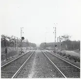 Plankorsning vid Ormanäs, på linjen mellan Höör och Stehag.