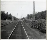 Järnvägsövergång vid Havsbadsvägen på linjen mellan Skälderviken och Ängelholm.