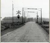 Järnvägsövergång vid Rögle södra på linjen mellan Rögle och Kattarp.