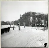 Järnvägsövergång vid Gyhult på linjen mellan Ödåkra och Helsingborg färjestation.