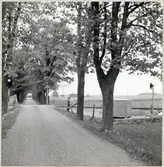 Järnvägsövergång vid Fredriksbergsvägen.