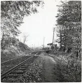 Järnvägsövergång i Marsvinsholms skog.