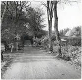 Järnvägsövergång i Marsvinsholms skog.