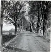 Järnvägsövergång över Ruuthsbovägen på linjen mellan Svarte och Ystad.