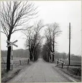 Järnvägsövergång vid Östra Strö på linjen mellan Skarhult och Hurva.