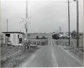 Järnvägsövergång vid Brunnslöv med kombinerad vakt- och hållplatskur.