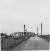 Järnvägsövergång vid Önsvala, på sträckan mellan Djurslöv och Staffanstorp.