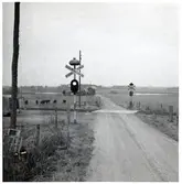 Järnvägsövergång vid Olinge, på sträckan mellan Broby och Knislinge.