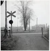 Järnvägsövergång vid Vinnö, på sträckan mellan Färlöv och Karpalund.