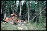 Skogsavverkning med skogsmaskin Kockums 8865.