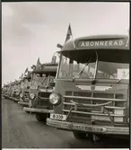 Trafikaktiebolaget Grängesberg - Oxelösunds Järnvägar, TGOJ bussar på rad.