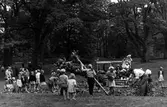 Midsommarstången kläs för midsommarfirande i Nolhaga Park 1969.