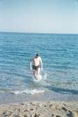 Kollega badar i Medelhavet