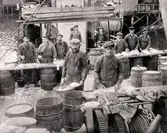 Fiske efter håkärring vid Tromsö med kuttern ISLAND 1917
