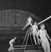 Gymnastikafton på Idrottshuset.
November 1956.
