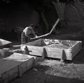 Kalkslagning för cement till restaureringsarbeten på slottet.