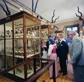 Vänersborgs museum, Afrikanska fågelsalen. Kungligt besök på nationaldagen.