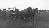 Körtävling med häst och vagn sannolikt i JUF´s regi