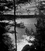 UTSIKT ÖVER EN SJÖ