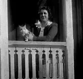 EN KVINNA MED EN KATT PÅ VERANDAN


Tillv.tid: 1945
Övriga nr: 
Repro nr: 
Registrator: HABDATA

RealNr: 885     Motiv_spec: KVINNA
RealNr: 231     Motiv_spec: KATT

Proviens
Kod: 10
Yrke: Namn: KARLSSON ANDERS
Land: 
Län: 16
Kommun: 
Stad: GÖTLUNDA
By: 
Gård: 
Fastighet: HAGEN
Adress: 


Proviens
Kod: 81
Yrke: Namn: SKÖVDE MUSEUM
Land: 
Län: 16
Kommun: 
Stad: SKÖVDE
By: 
Gård: 
Fastighet: 
Adress: