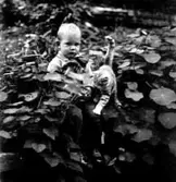 EN LITEN POJKE SOM LEKER MED EN KATT


Tillv.tid: 1934
Övriga nr: