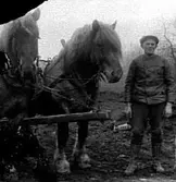 BONDE MED SINA ARBETSHÄSTAR.