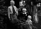 TRE BARN SOM STÅR VID ETT BUSKAGE