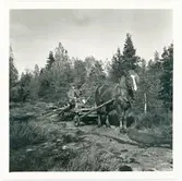 Frändefors, älgjakt